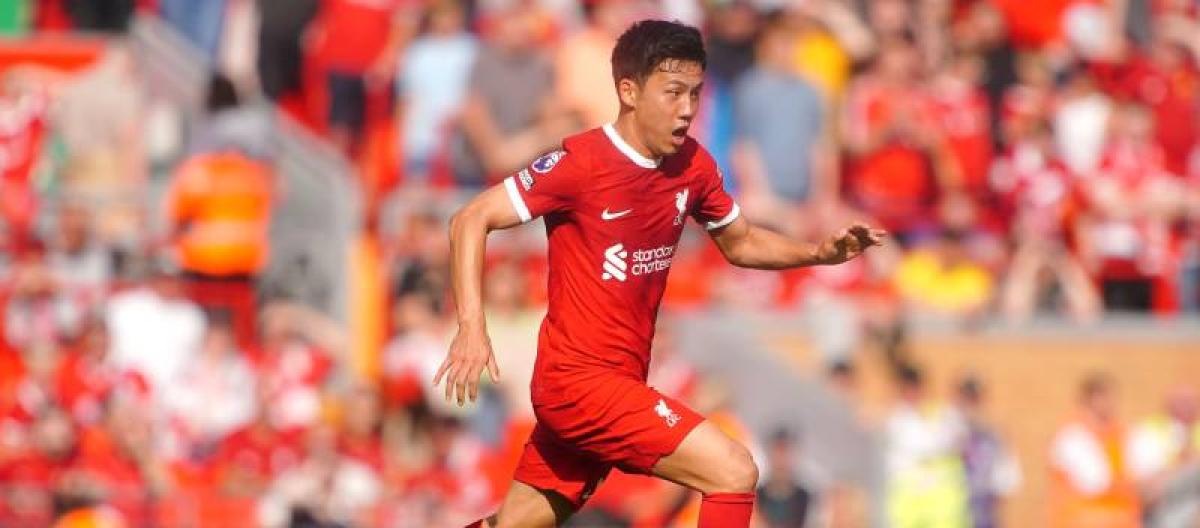 2026世界杯 - 乐鱼体育在线登录入口